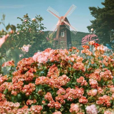 天博国际线上平台官网下载截图