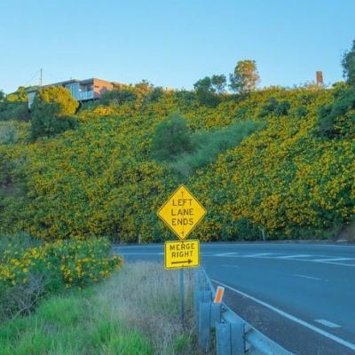 江南娱乐体育官网入口