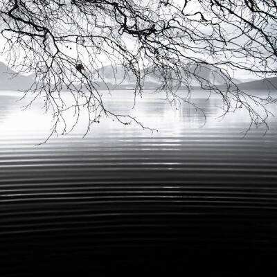 乐乐捕鱼官方网站