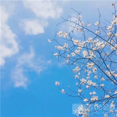 星空综合体育下载