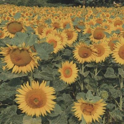 天博国际线上平台官网下载