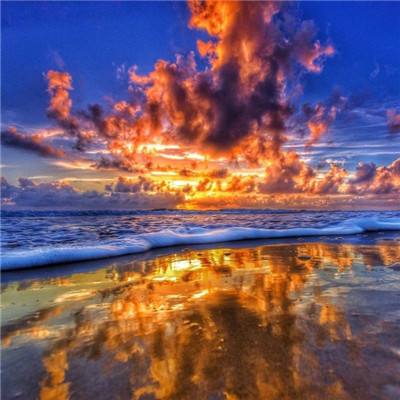 BOB·体育手机截图