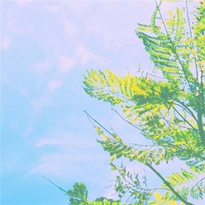 天博国际线上平台官网下载截图