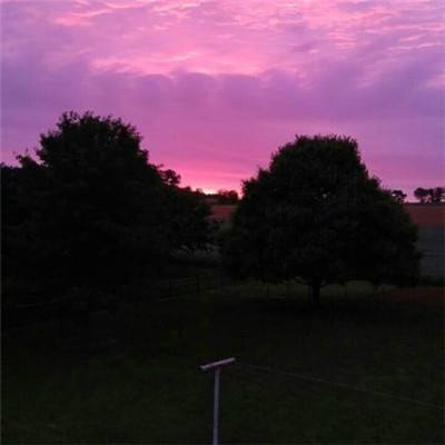 星空综合体育下载