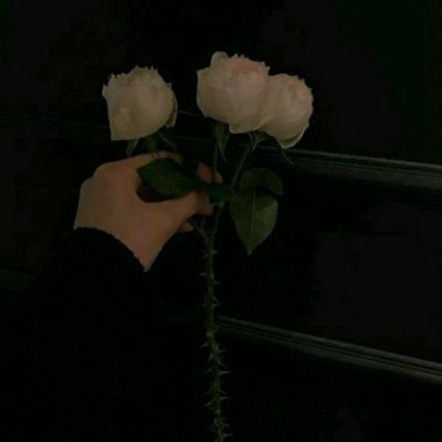 必一体育app官方网站