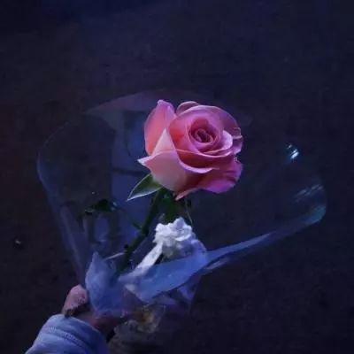 江南JN体育登录入口