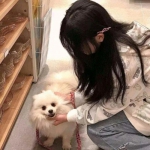 天博国际线上平台官网下载截图